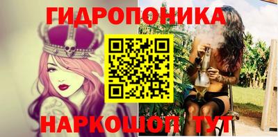 индика Братск