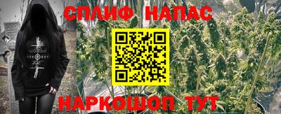 индика Братск