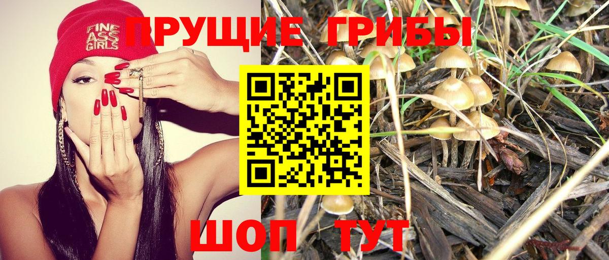 Псилоцибиновые грибы прущие грибы Баксан